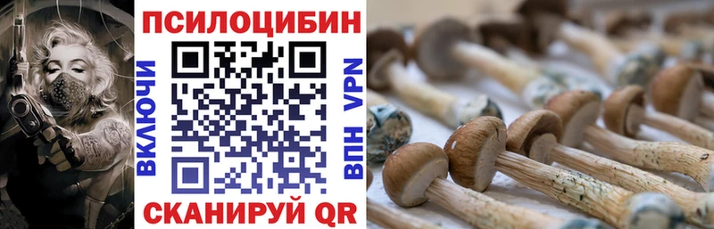 Галлюциногенные грибы Magic Shrooms  ОМГ ОМГ рабочий сайт  Кимры 